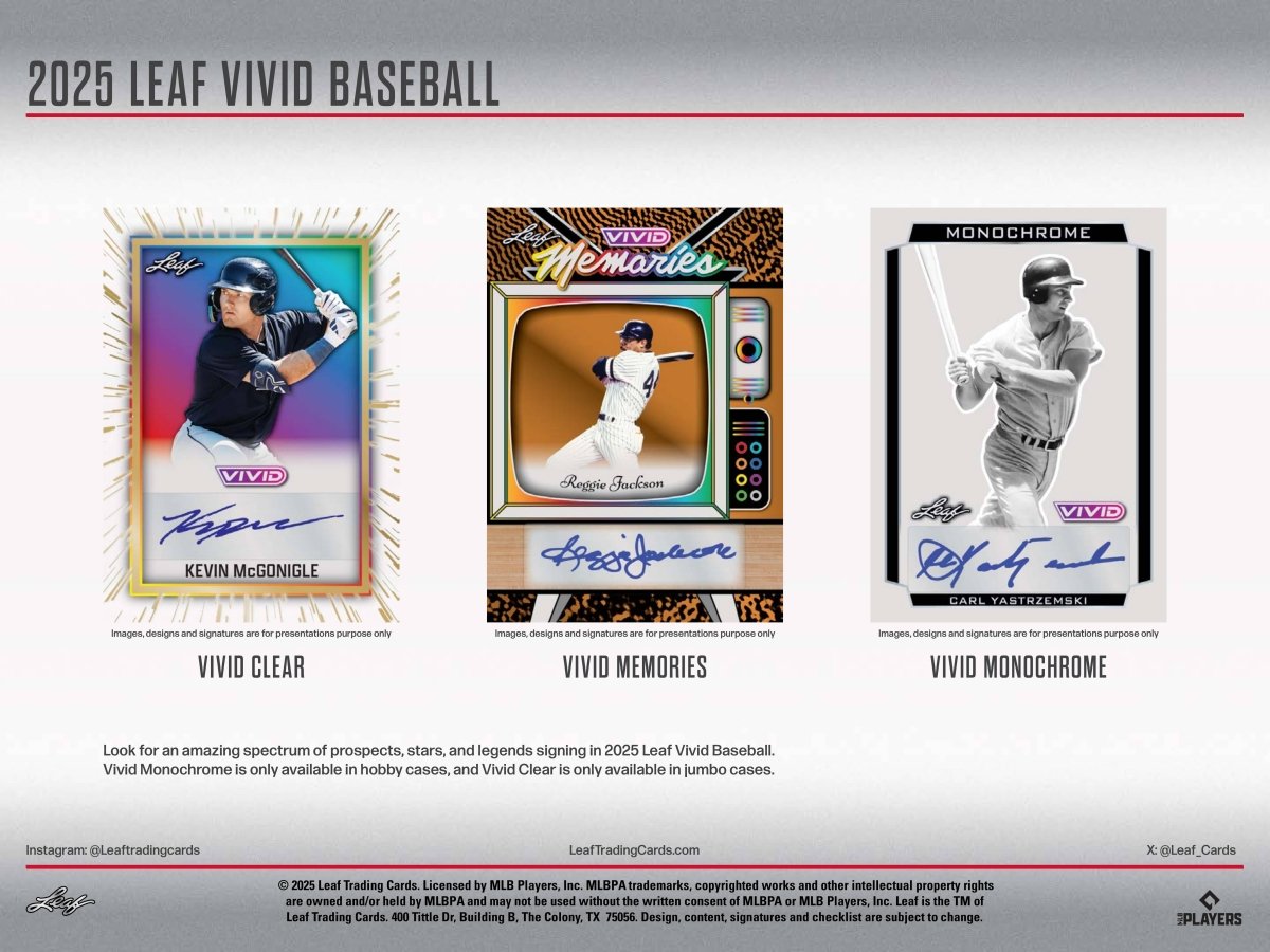 2025 Leaf Vivid Baseball Hobby Box - Leaf