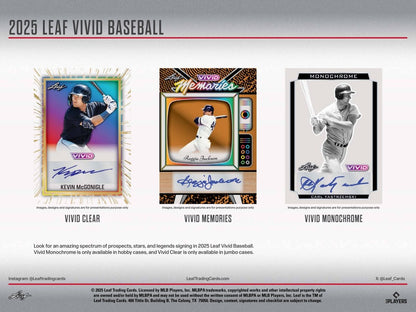 2025 Leaf Vivid Baseball Hobby Box - Leaf
